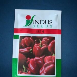 Red capsicum seeds Indus
