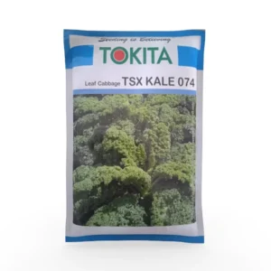 kale seeds online Tsx-074 10g Tokita