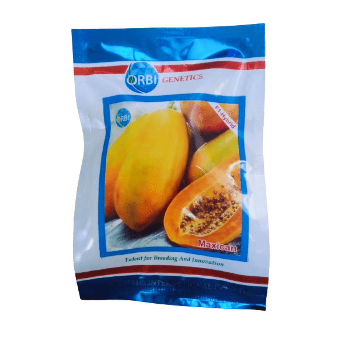 Papaya Seeds Maxican 1g (ORBI)
