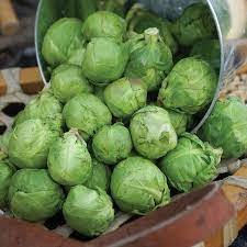 Brussel sprouts Seeds