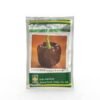 Capsicum seeds chocolate wonder 10g Indo American