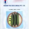 Best cucumber seeds simar 10g Known you