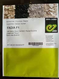 Fadia cucumber Seeds 1000 seeds Pack Buy Online