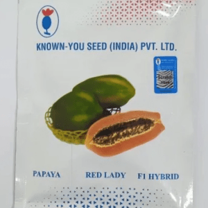 Papaya Seeds Redlady 10g (Known You)