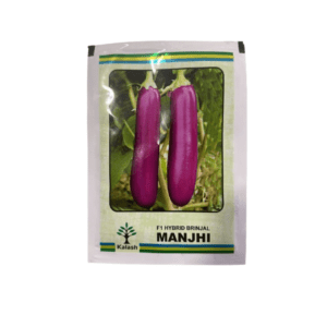 brinjal long purple Manjhi 10g (Kalash Seeds)