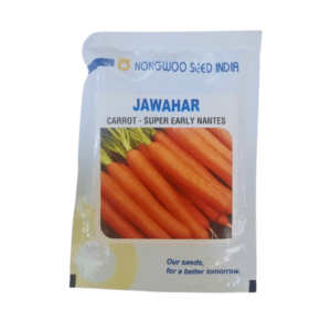 Carrot seeds - Jawahar 100g (Hybrid Seeds)