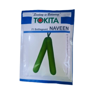 Bottle Gourd Naveen 50g (Tokita Hybrid Seeds)