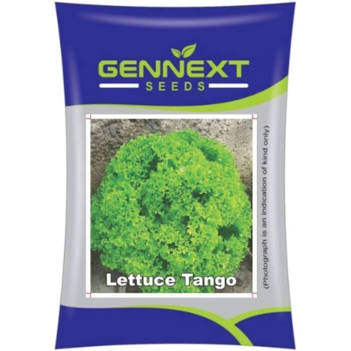 Lettuce Tango 10g Seeds Gennext