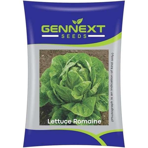 Lettuce Romain 10g Seeds Gennext