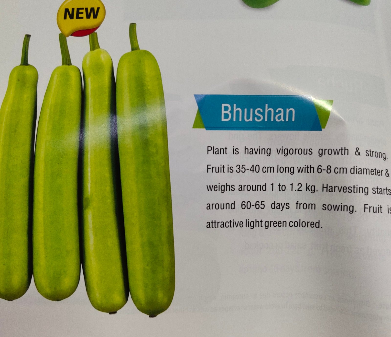 Bottle Gourd Bhushan 50g (Known you Hybrid Seeds)