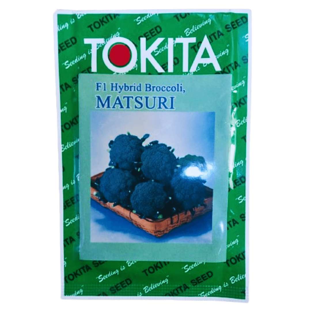 Broccoli Matsuri 10g (Tokita)