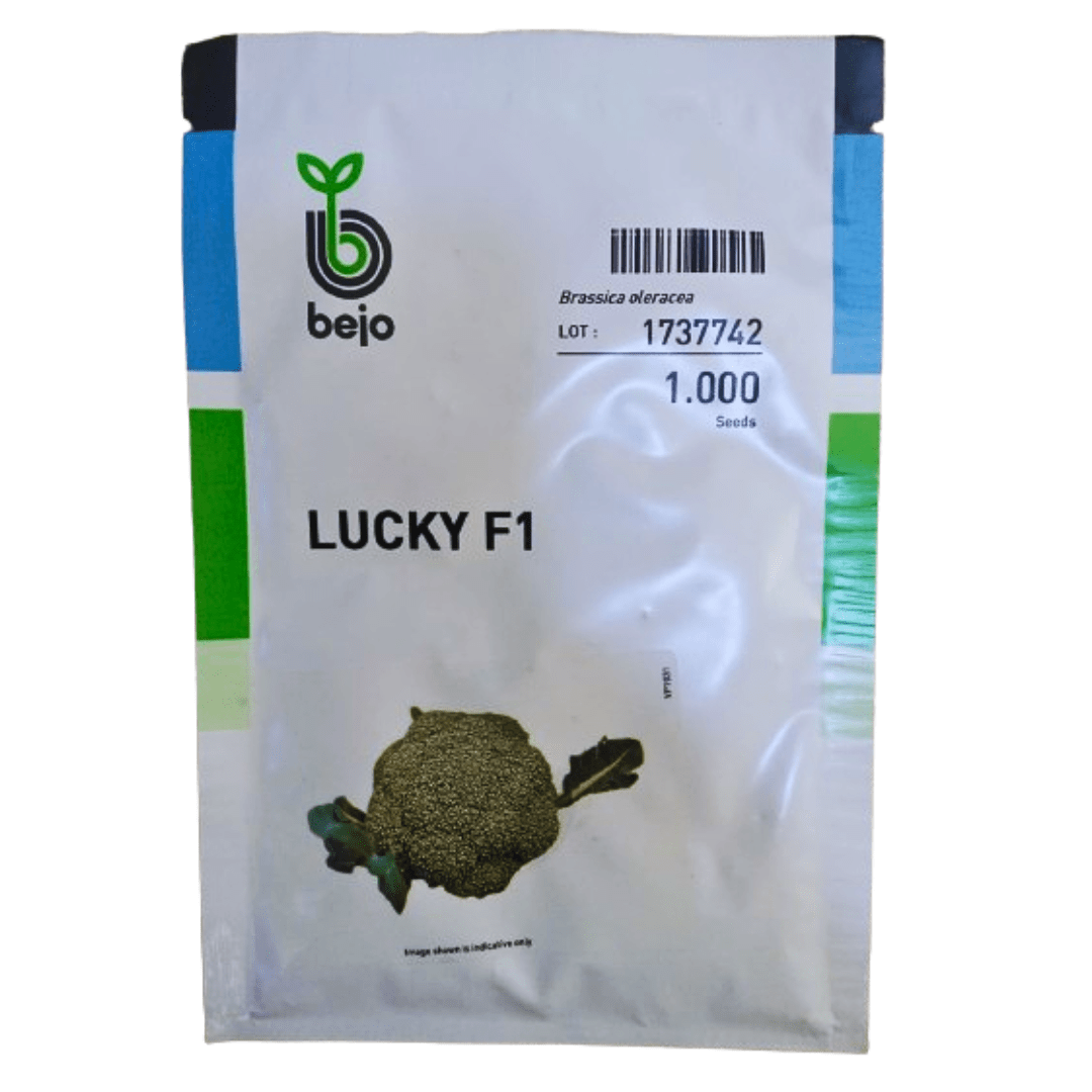 Broccoli Lucky 1000 seeds (Bejo)