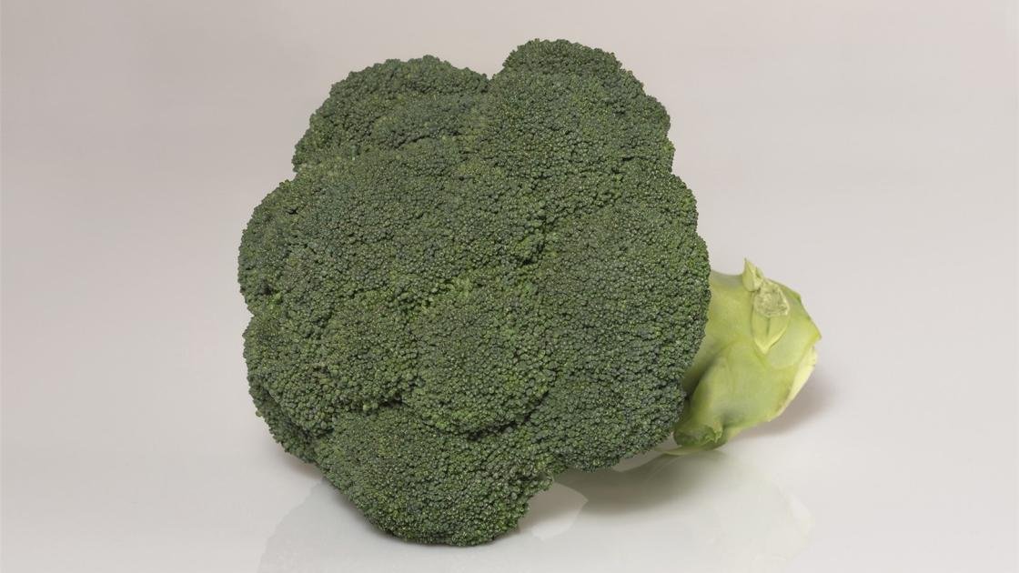Broccoli covina