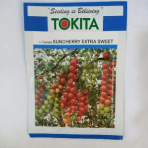 Cherry tomato seeds suncherry