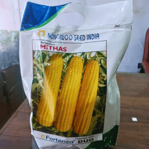 Sweet corn Mithas