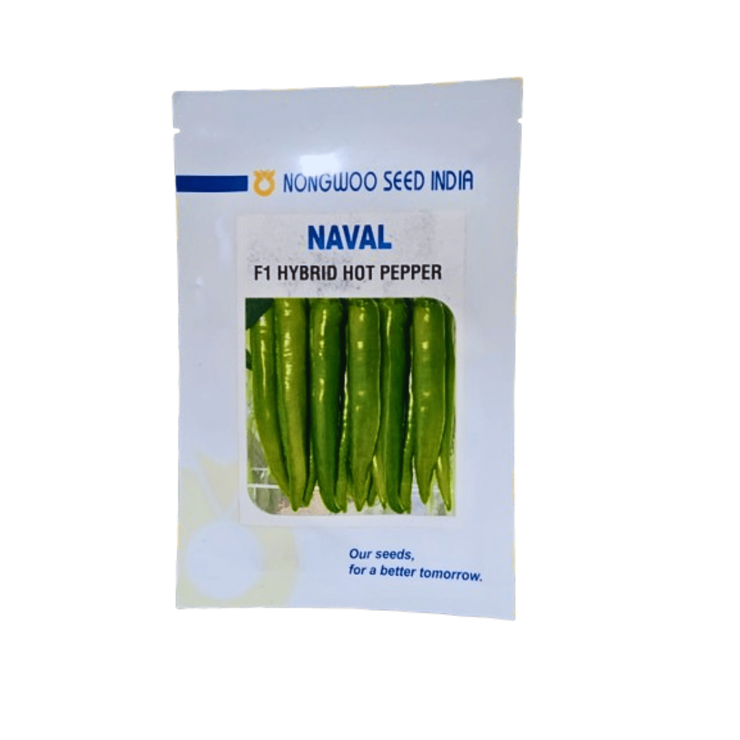 Green chilli seeds Naval Hot Pepper 10g (Nongwoo Seeds)