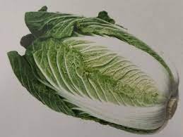 Chinese Cabbage Jaya (Known You)