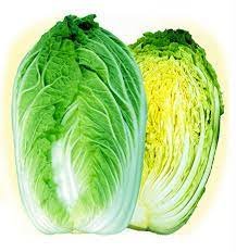 Chinese Cabbage Spring sun