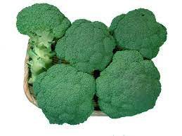 Broccoli Seeds Tsx 0788 (How to Grow Broccoli)