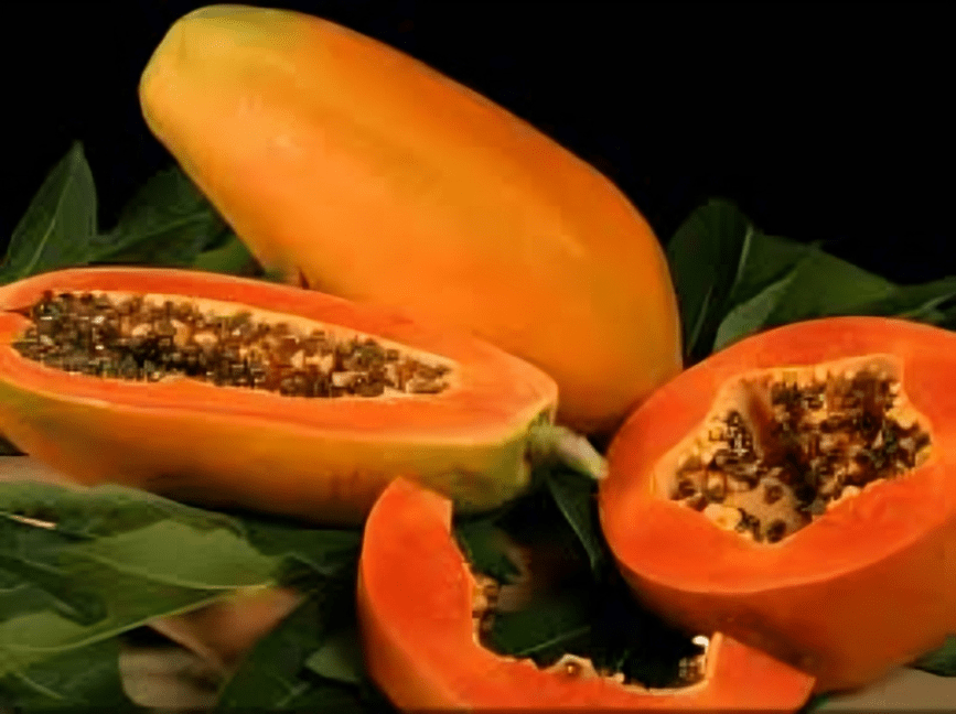 Papaya Seeds Red lady 10g (Known You)