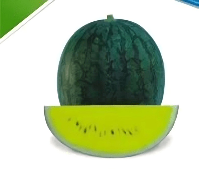 Watermelon Seeds Aarohi 20g (Known You)