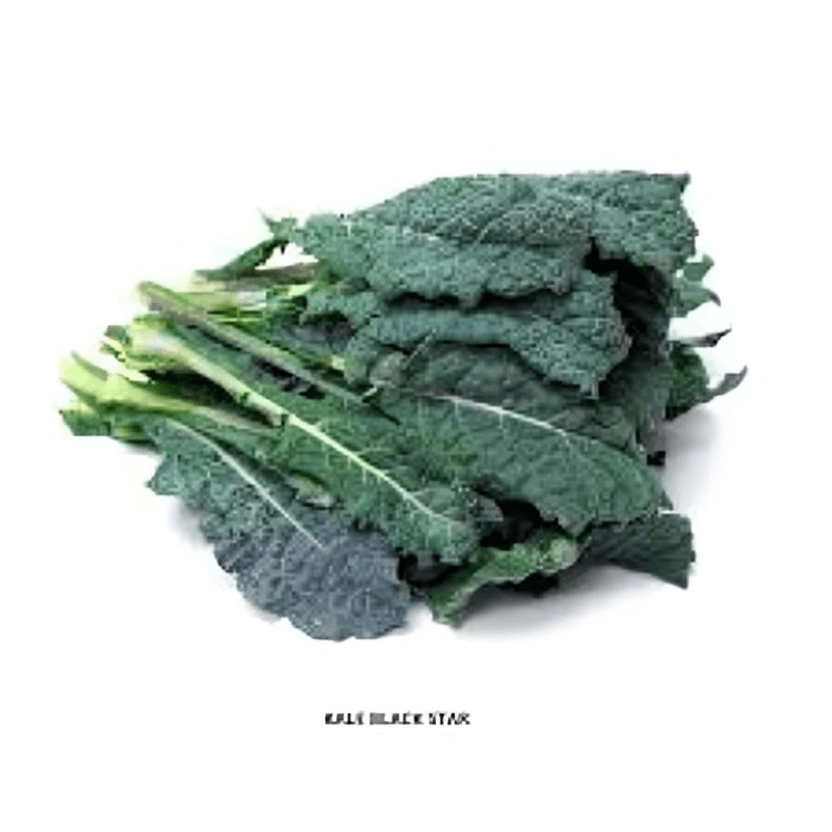 Kale Black Star 10g Genext