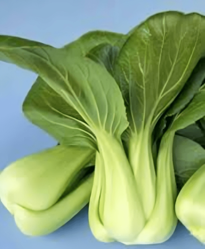 Pakchoi choko 10g Tokita