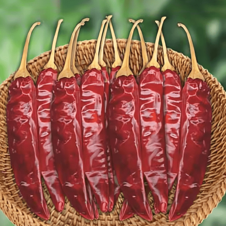 Jumbo (74470) Hot Pepper 10g (Nongwoo Seeds) Hybrid Seeds