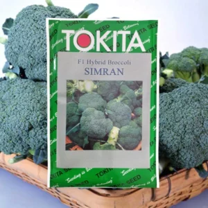 broccoli simran - Bhagatseeds