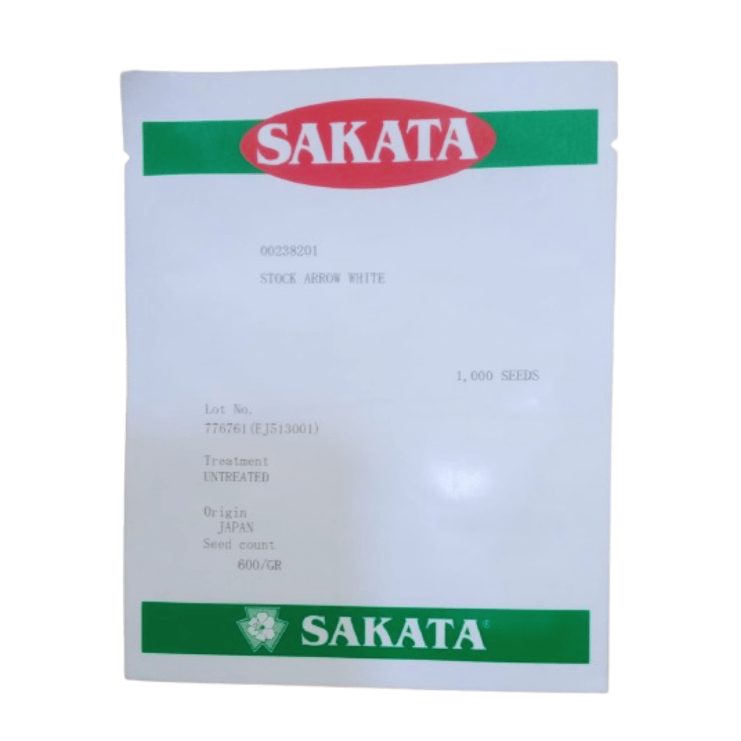 Hybrid stock iron Arrow White 1000 Seeds (Sakata)