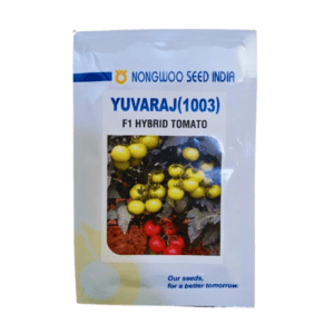 Hybrid tomato seeds Yuvaraj (1003) 3000 Seeds Nongwoo Seeds