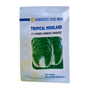 Hybrid Chinese Cabbage Seeds Tropical Highland 10g (Nongwoo Seeds)