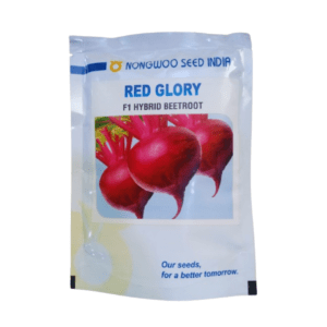 Hybrid Beet Root Seeds Red Glory (2105) 100g (Nongwoo seeds)