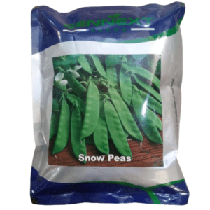 Best Hybrid Snow Peas seeds