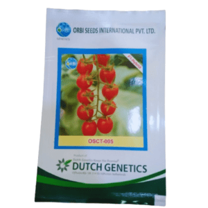 f1 Hybrid Tomato Seeds OSCT-005 1000 seeds ORBI