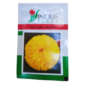Best hybrid yellow marigold seeds