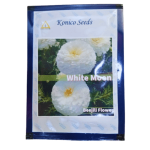 Flower seeds online purchase hybrid white moon seeds