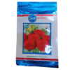 Hybrid Tomato Seeds OST-1822 10g (ORBI)