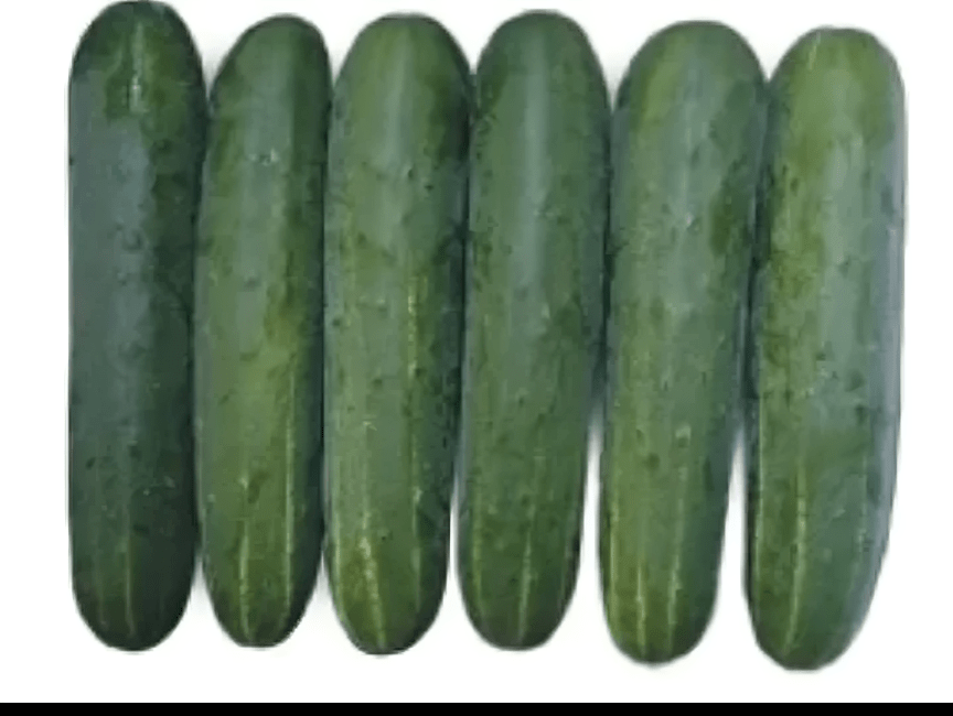 Hybrid Cucumber Ruchita 25g (Known-You)