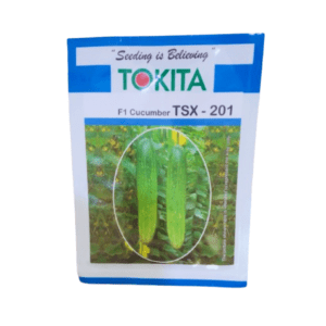 Hybrid f1 cucumber Seeds TSX - 201 10g (Enza Zaden)