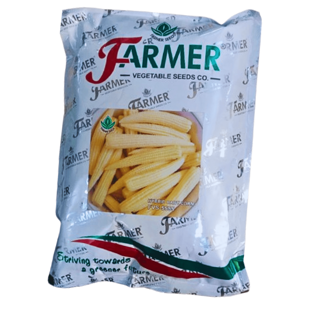 Buy Best Hybrid Baby Corn Seeds 1kg (Farmer)