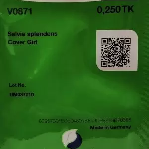 Salvia Splendens Cover Girl 250seeds benary
