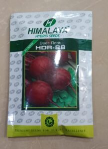 Beet root seeds (Himalaya)