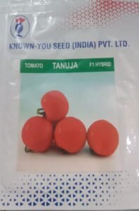 TOMATO SEEDS