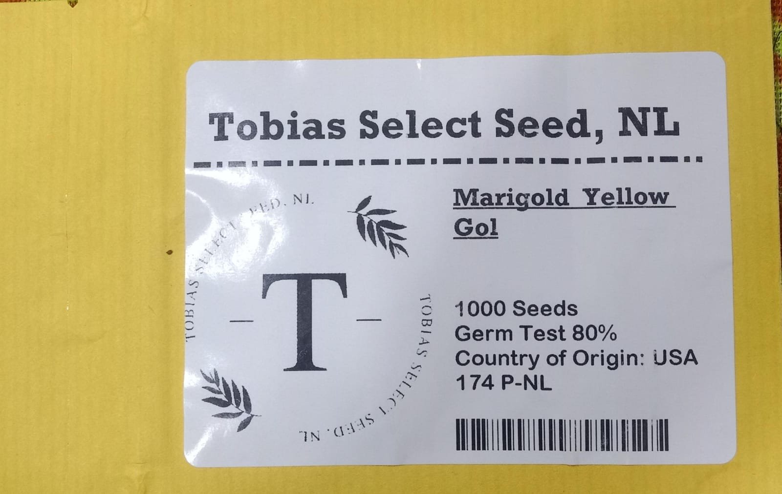 Tobias Marigold yellow Gol