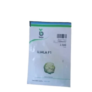 Cauliflower Ujala vegetable seed