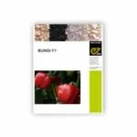 capcicum Seeds sweet pepper (Capsicums Seeds)