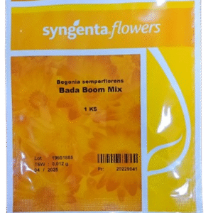 Begonia semperflorens bada boom mix 1k syngenta
