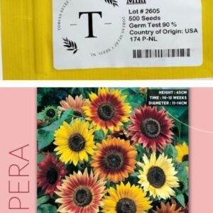 SunFlower Opera 5H Tobias (Height-65cm)