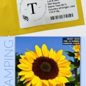 Sunflower Stamping 5H Tobias